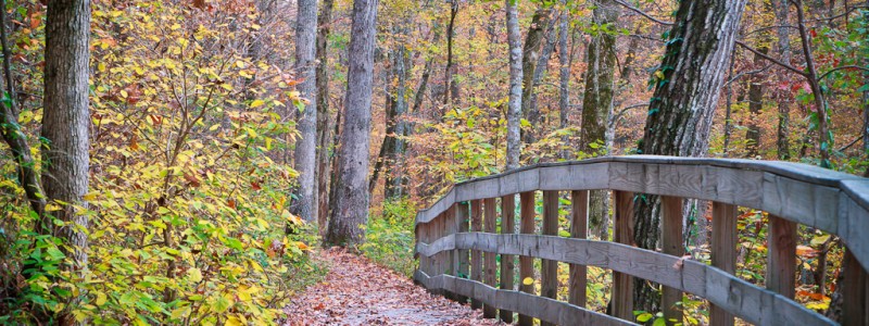 Hiking a trail at Mammoth Cave Nat'l Park (5)