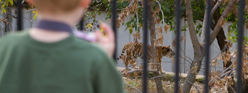 St. Louis Zoo
